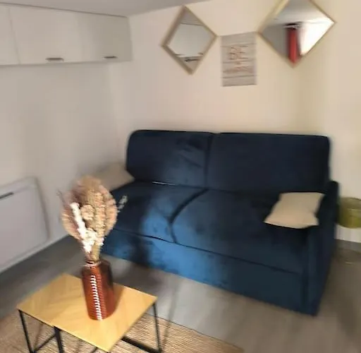 Moderne Situe A 300m Du Coeur De * Troyes